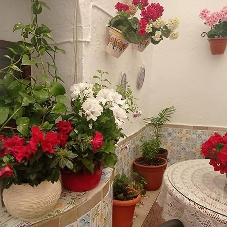 Casa Tipica De Pueblo Andaluz Villa Villanueva de San Juan Luaran gambar