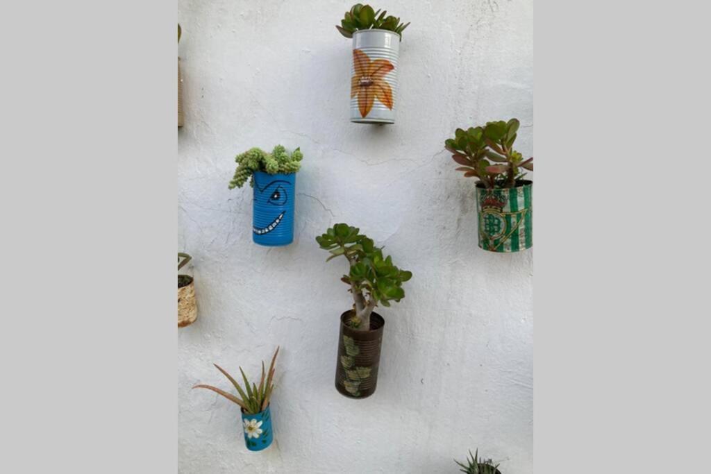 Casa Tipica De Pueblo Andaluz Villa Villanueva de San Juan Luaran gambar