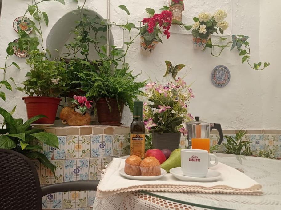 Casa Tipica De Pueblo Andaluz Villa Villanueva de San Juan Luaran gambar